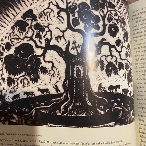 Telsiai Apylinkes , Telsiai & surrounding areas book - Picture 9 of 13